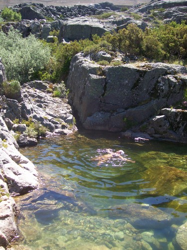 100_1654.JPG