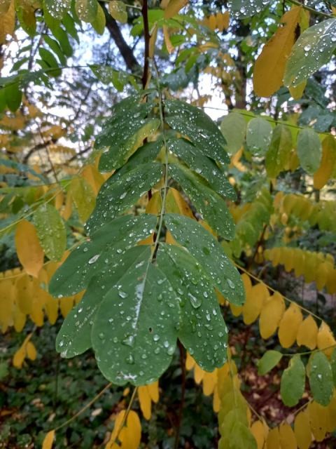 259734269_225090929730393_4273056785336568452_n.jp