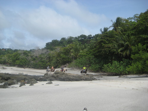 IMG_1300.JPG