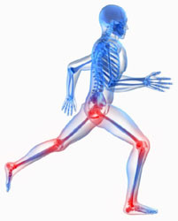 osteoartrite.jpg