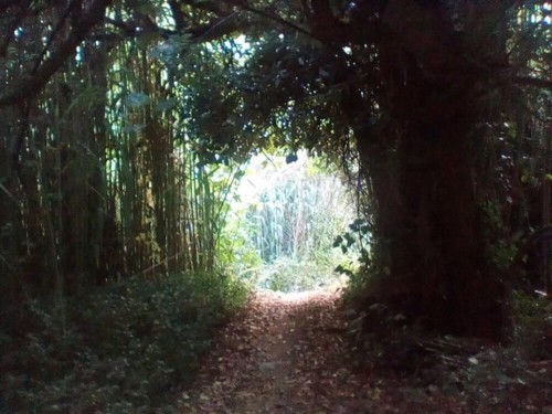 37711945_1738125246302773_3559110678025338880_n.jp