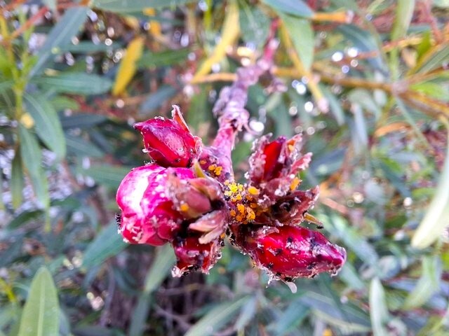 505079731_10014663821982166_7989674115647585648_n.