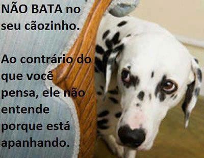 Não bata no seu cão