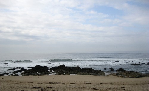 IMG_2484.JPG