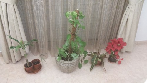 20161122_224113.jpg