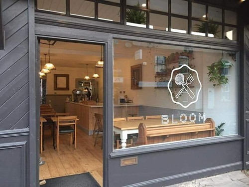 bloom.jpg bloom.jpg