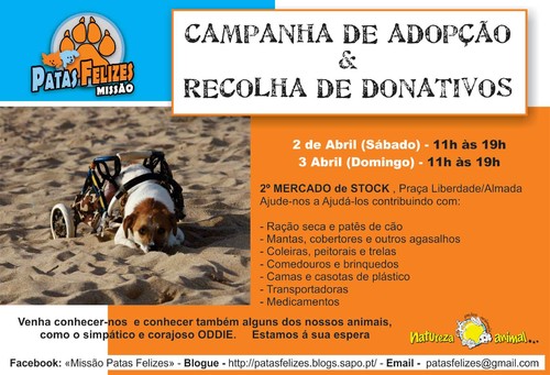 Animais Abandonados para Adopção. Adopte-me. Cães e Gatos