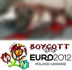 euro2012.jpg