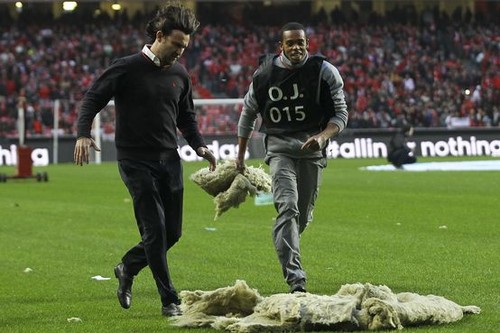 Estádio da luz