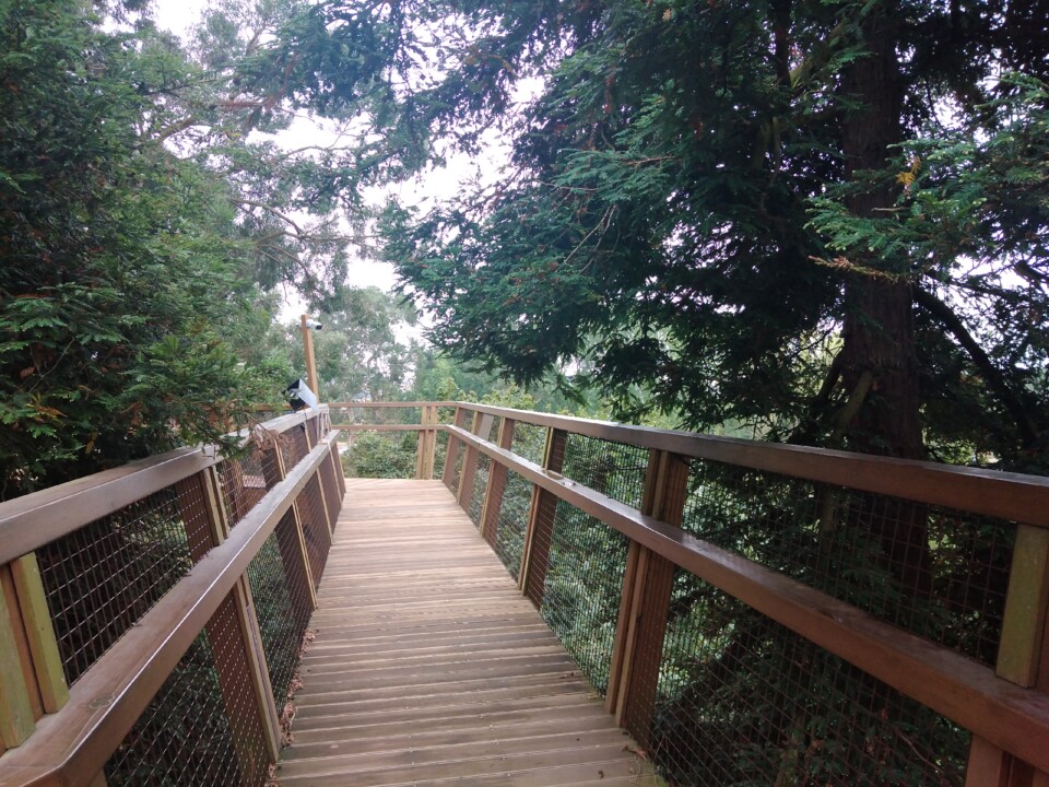 Serralves2.jpg