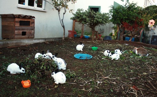 chamam à atenção de miúdos e graúdos...