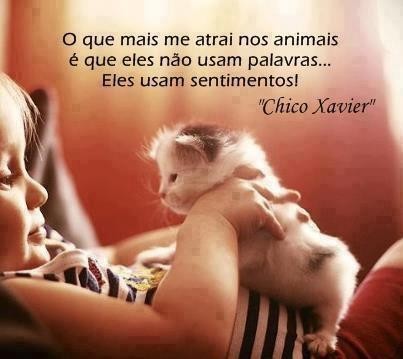 Animais