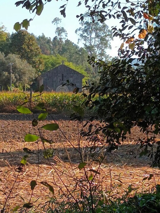 Não me canso disto mosteiro9.jpg