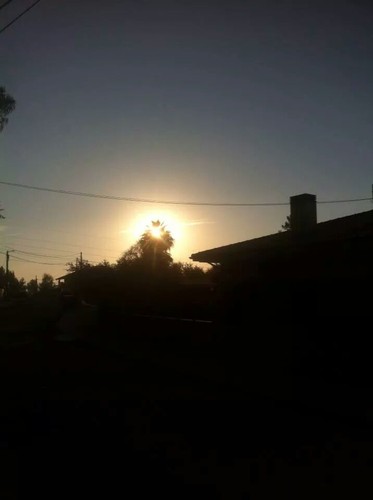 IMG_243949611648066.jpeg