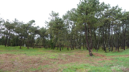 P1090259
