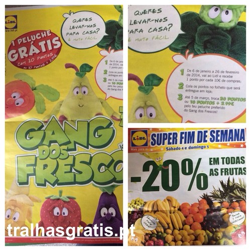 photo.JPG
