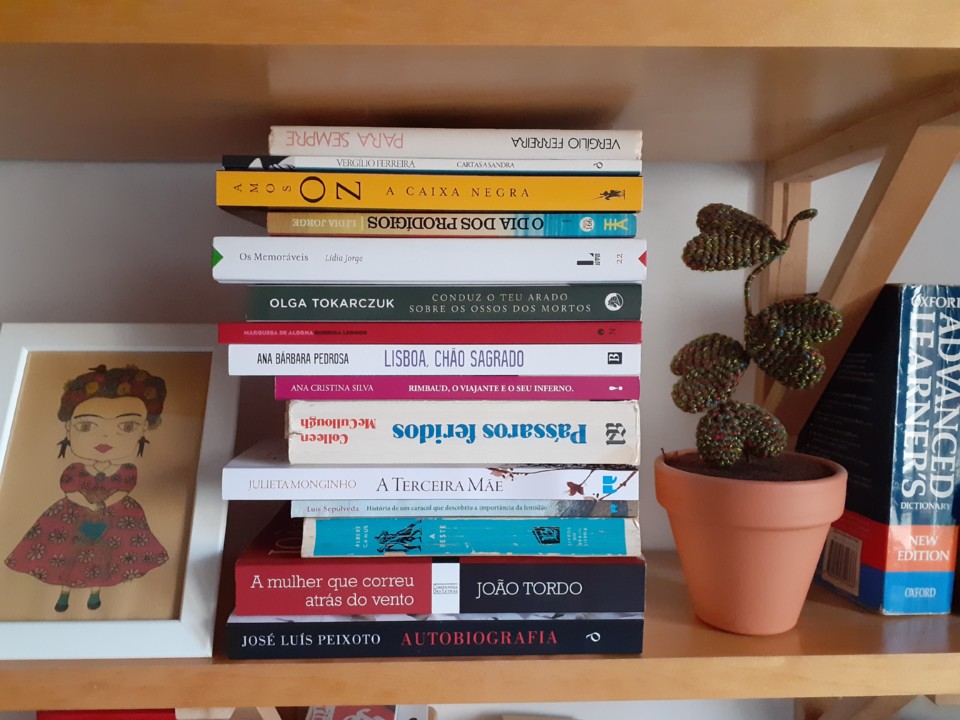 Livros t.jpg