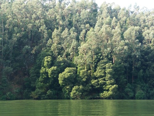 Douro 3.JPG
