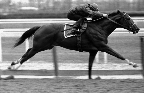 SECRETARIAT