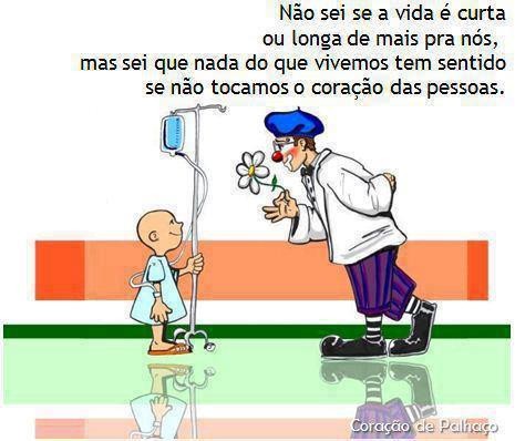 Vida curta