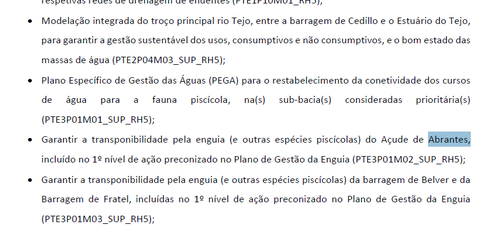 enguias.png enguias.png