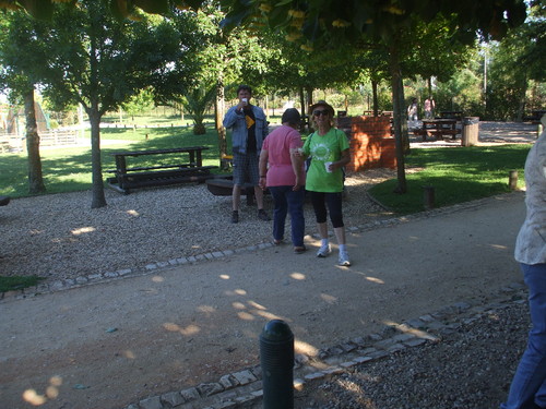 DSCF2536.JPG