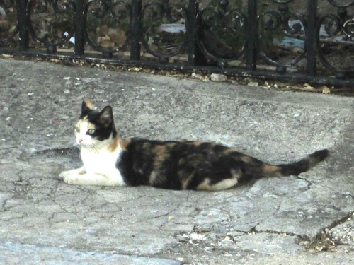 IMG_4187.JPG IMG_4187.JPG