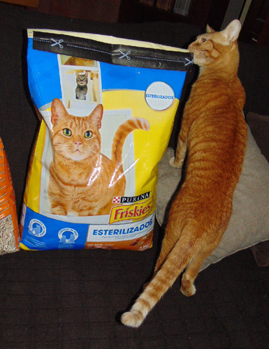 compras.JPG
