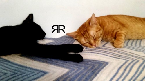 imagem0023.jpg