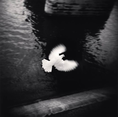 ©Michael Kenna.jpg