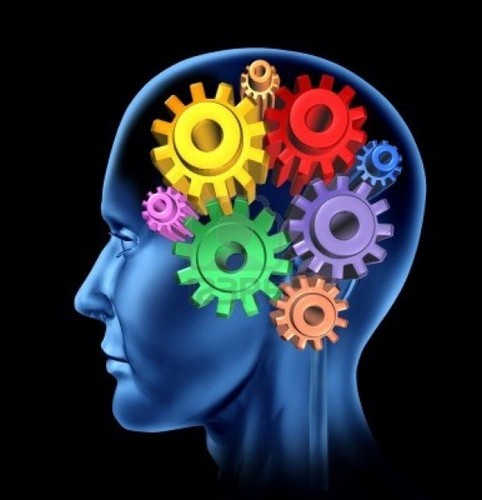 brain.jpg