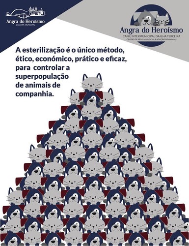 Esterilização.jpg