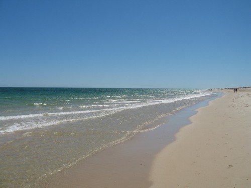Ilha de Tavira