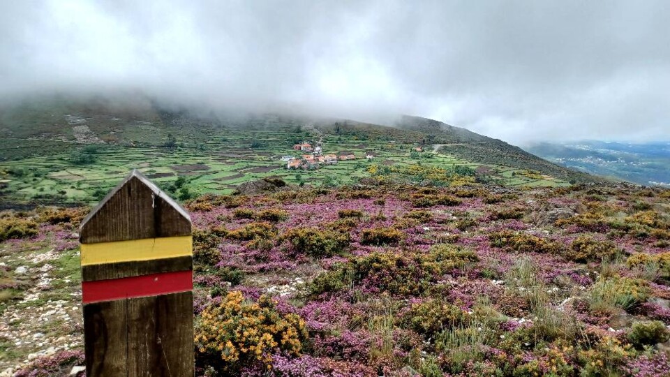 281777112_421371479994075_8469929509749122232_n.jp