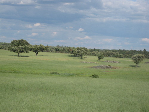 Portalegre