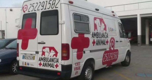 ambulância póvoa de varzim ambulância póvoa de varzim