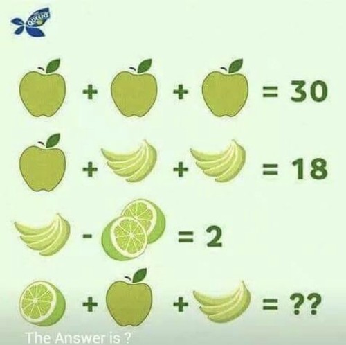 fullsizeoutput_5c5.jpeg
