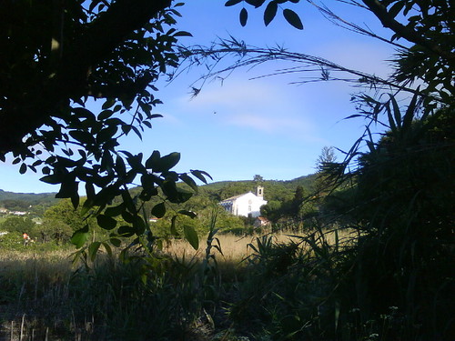 O meu coração é verde.