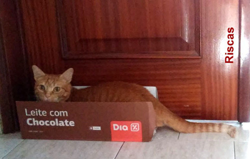 caixinhas.jpg