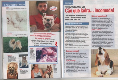 riscasfama02.JPG