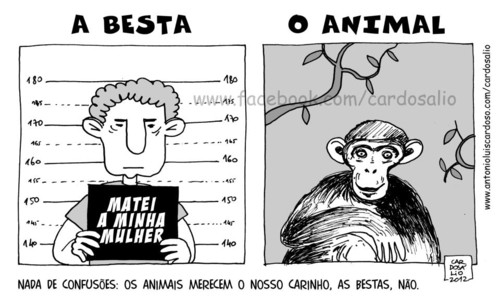 a besta e o animal