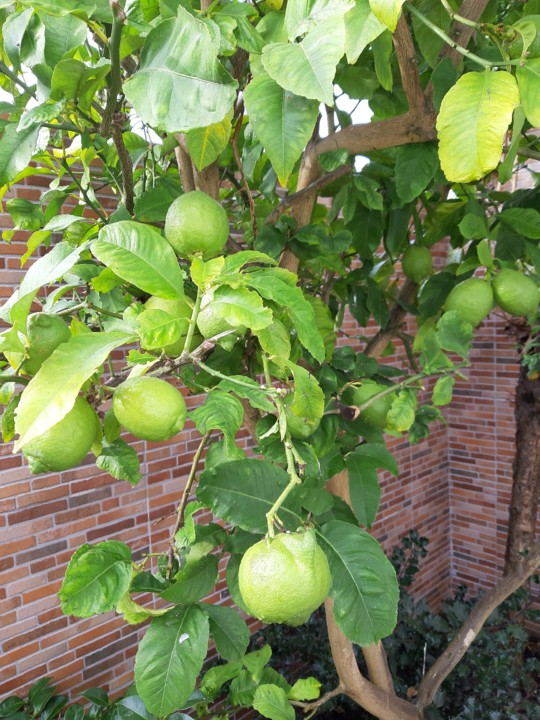 20190922_095451.jpg