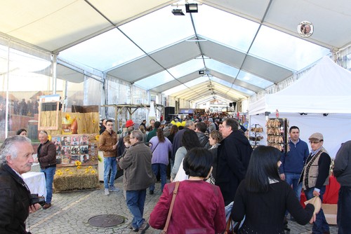 Feira do Queijo em Seia - 25  02  2017 !!! 243.JPG