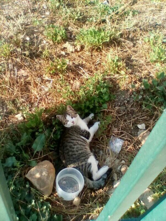 70996523_2437857253126972_4501044748894601216_n.jp