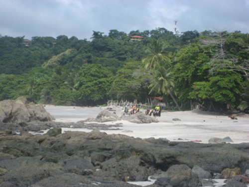 IMG_1296.JPG
