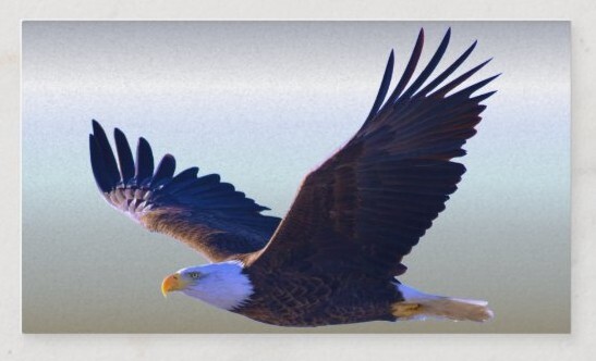 cartao_de_visita_voo_da_aguia_americana-r0225507ea