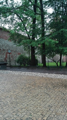IMG_20170525_131106.jpg