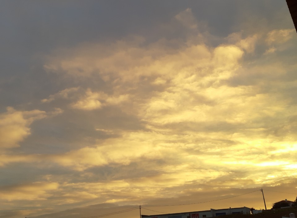 20191027_172349.jpg