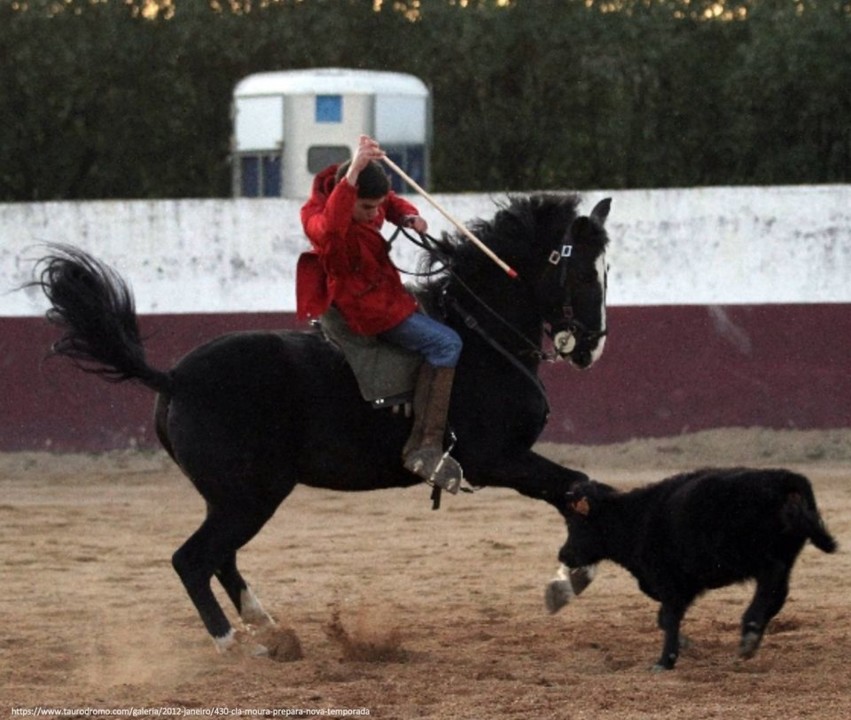 Imagem de cobardia.jpg Imagem de cobardia.jpg