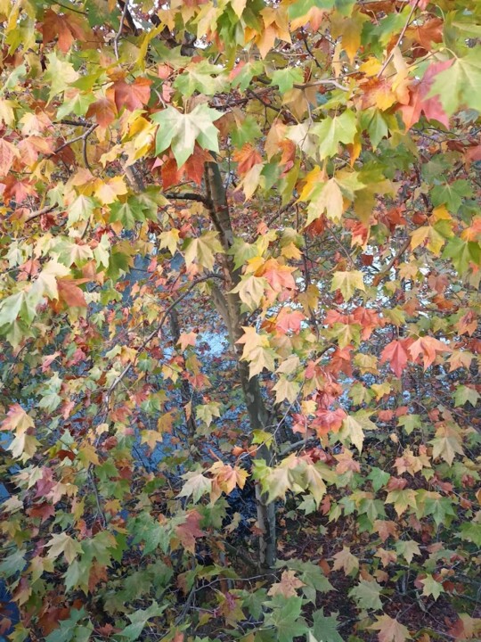 Não me canso disto Cavado2.jpg